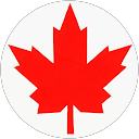 Asli Yilmaz profile picture