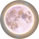 Carlie Tam profile picture